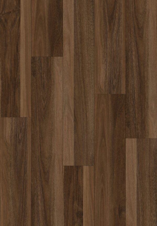 Jarrah