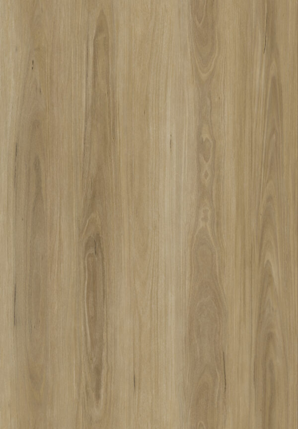 New Zealand Blackbutt - Image 2