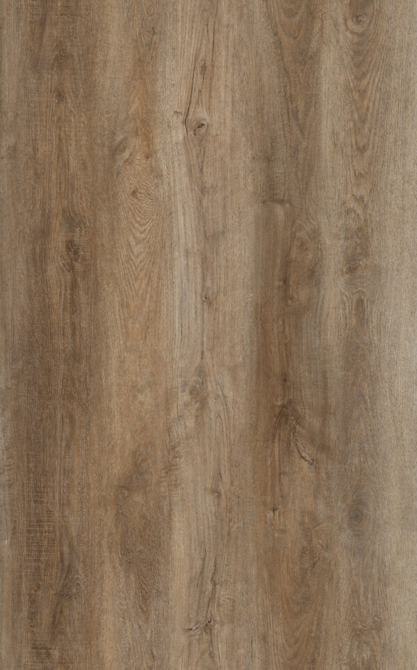 Perth Oak - Image 3