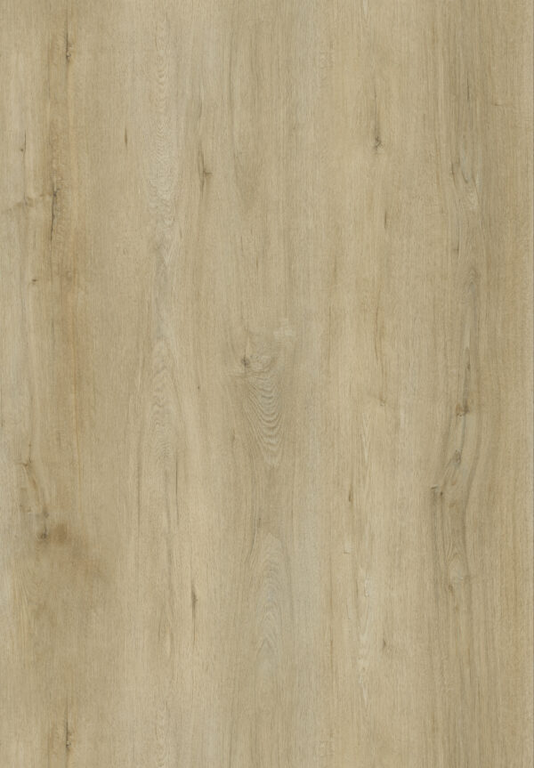 Riverview - Image 3
