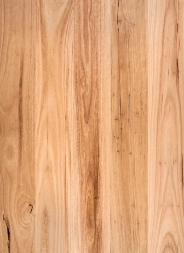Pacific Island Blackbutt