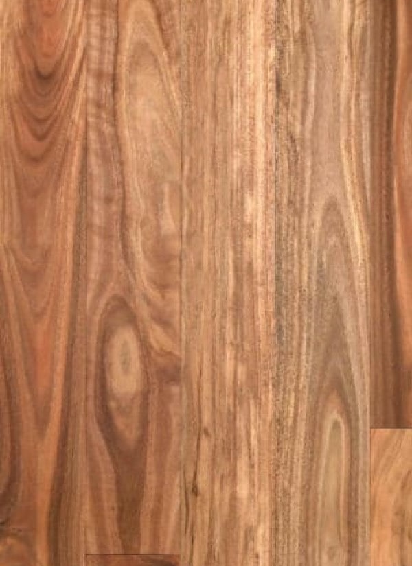 Pacific Spotted Gum