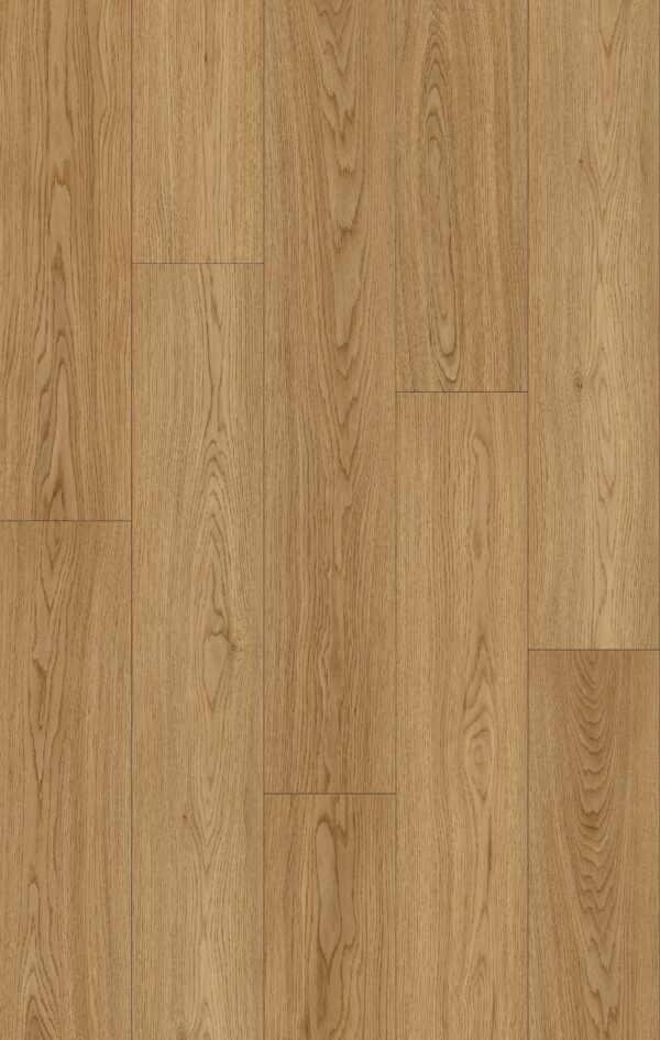 American Oak - Image 3