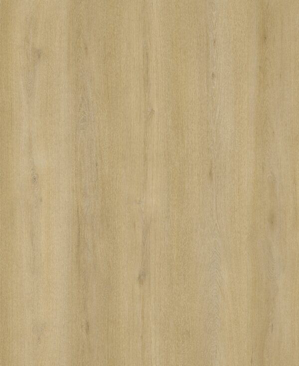 Latte Oak 1.5m