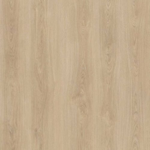Champagne Oak