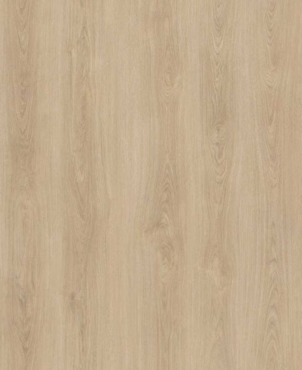 Champagne Oak